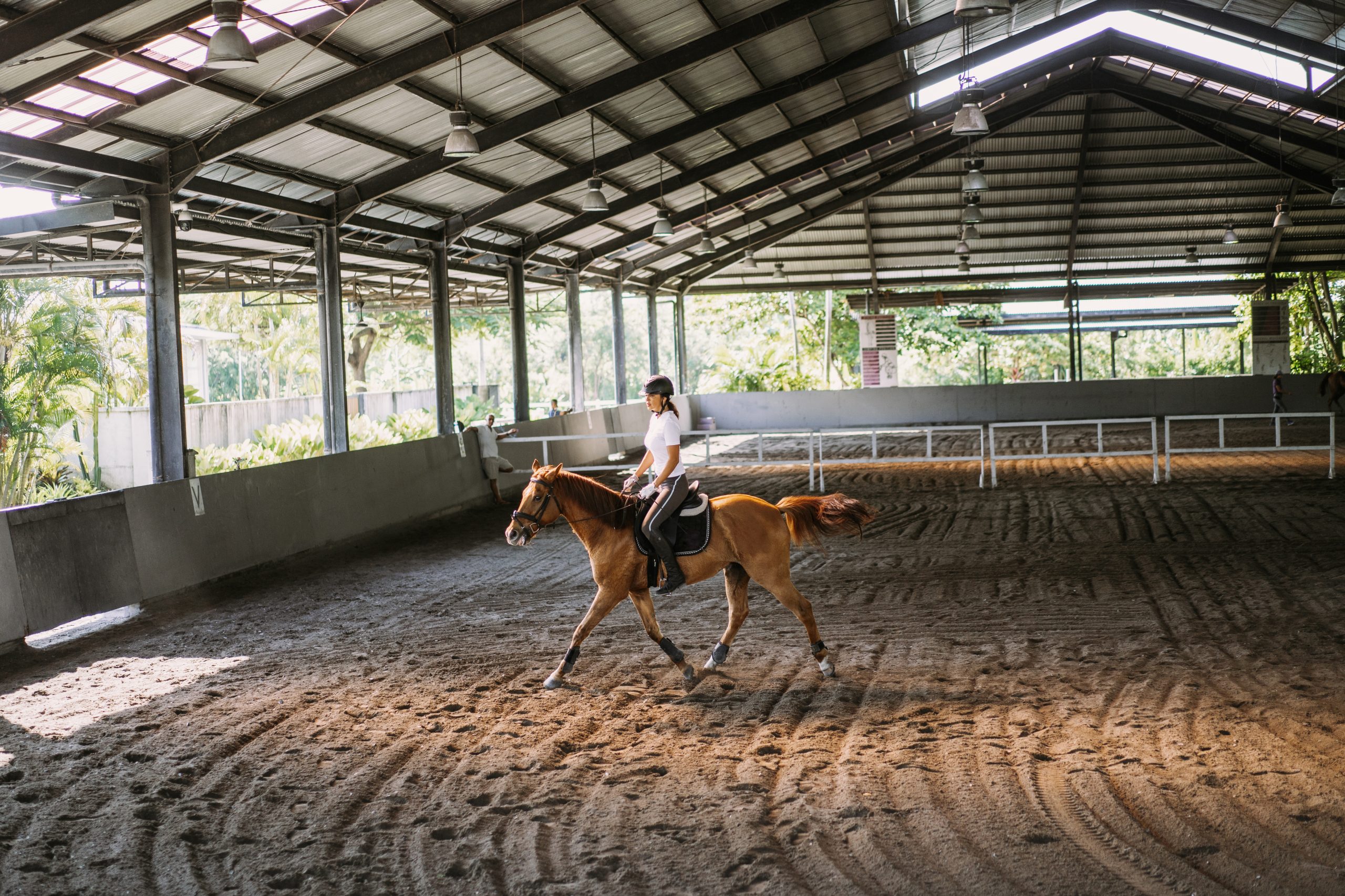 Young woman trains in horseback riding in the arena. Young Cauca