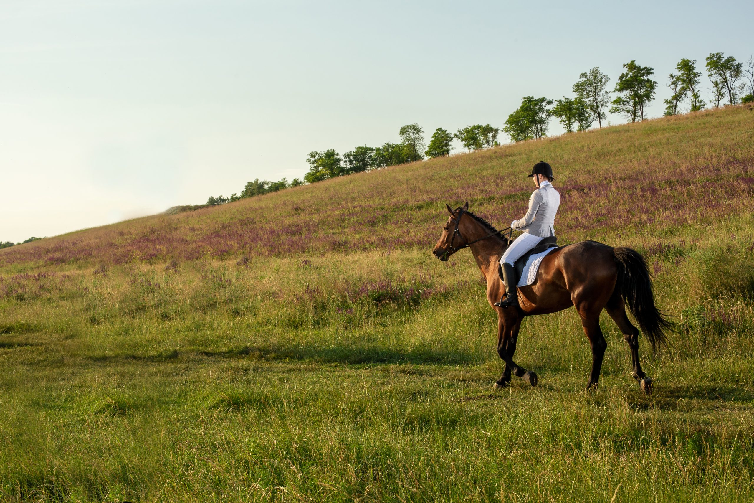 Young woman rider with her horse in evening sunset light. Outdoor photography in lifestyle mood. Equestrianism. Horse riding. Horse racing. Rider on a horse.