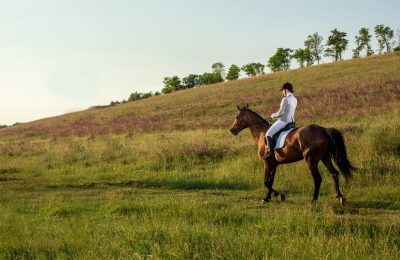 Young woman rider with her horse in evening sunset light. Outdoor photography in lifestyle mood. Equestrianism. Horse riding. Horse racing. Rider on a horse.